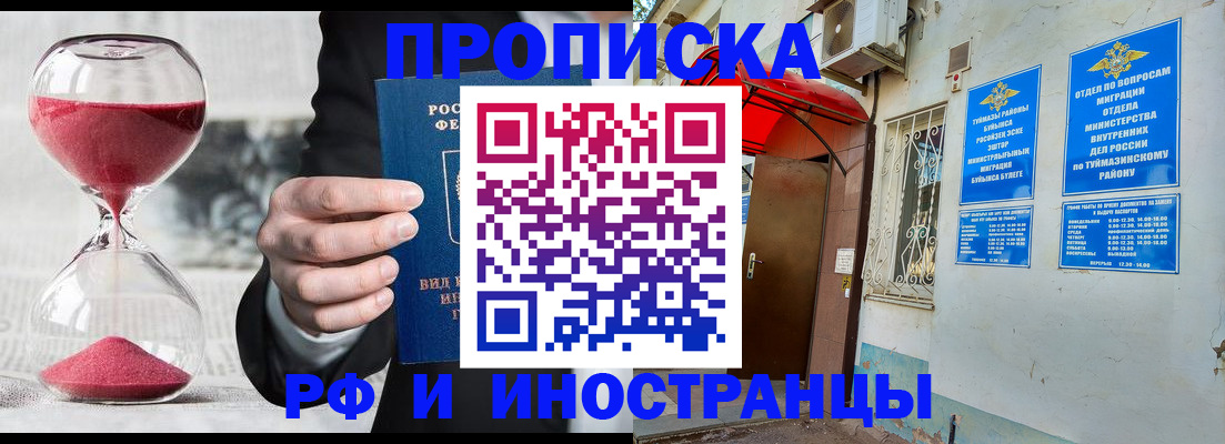 прописка 2025 в Покрове